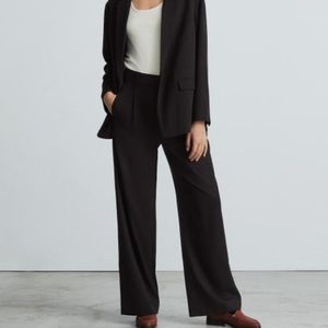 Everlane The Way-High Black Drape Pleated Front Wide Leg Trouser Pants